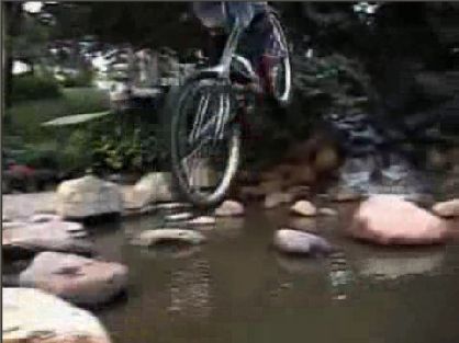 image of a pond jump